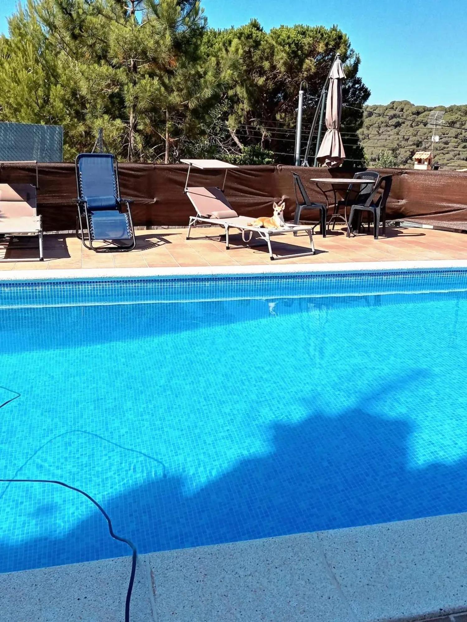 Ideal With Pool In *